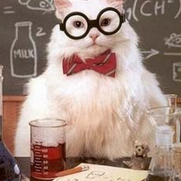 Meet your Posher, Kate - Picture 1 of 1